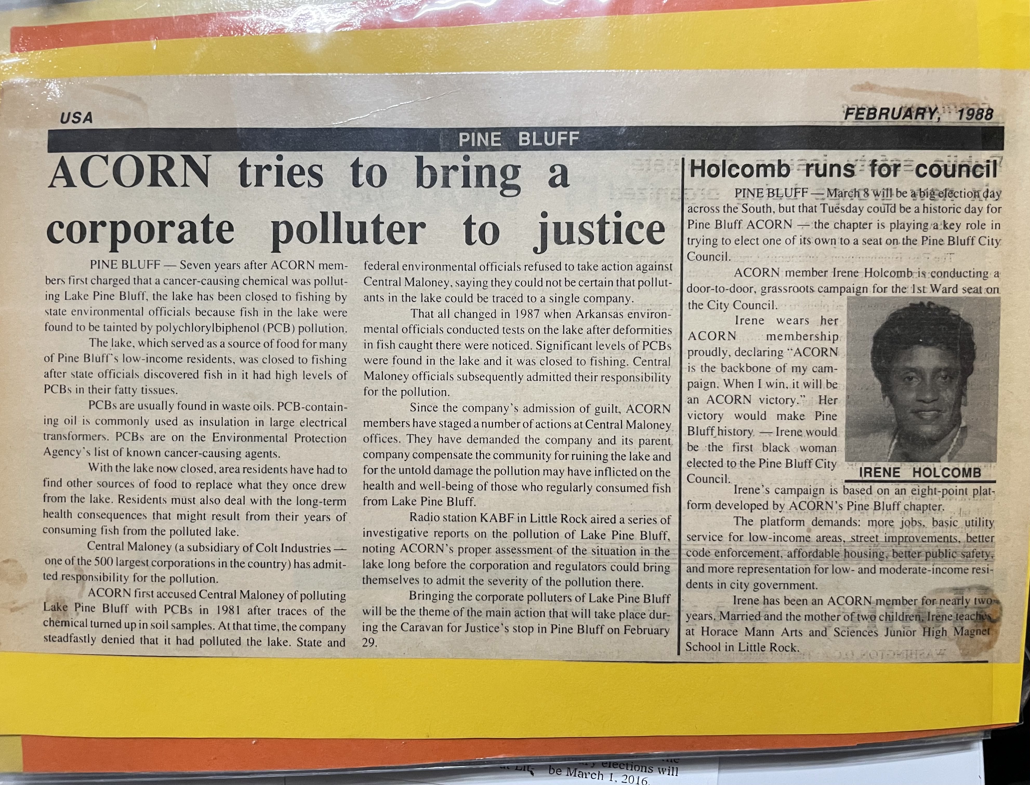 Photograph of a newspaper clipping from February 1988 with side-by-side articles: “Holcomb runs for council” and “ACORN tries to bring a corparte pulloter to justice”.